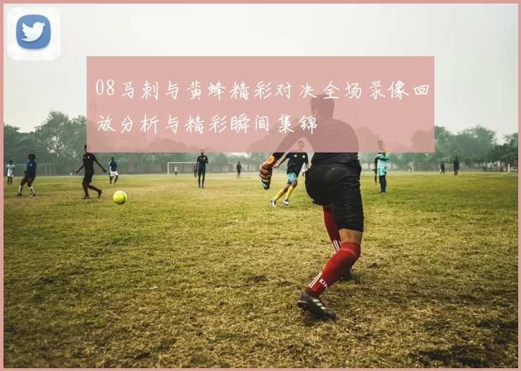 08马刺与黄蜂精彩对决全场录像回放分析与精彩瞬间集锦