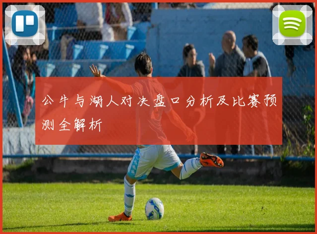 公牛与湖人对决盘口分析及比赛预测全解析