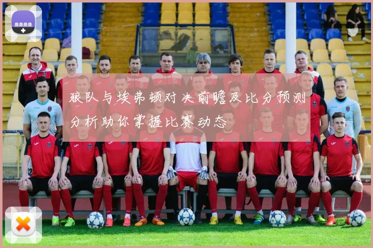 狼队与埃弗顿对决前瞻及比分预测分析助你掌握比赛动态