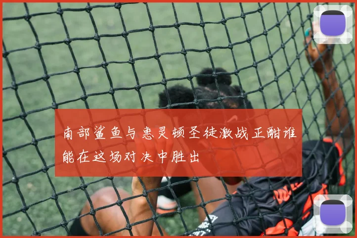 南部鲨鱼与惠灵顿圣徒激战正酣谁能在这场对决中胜出