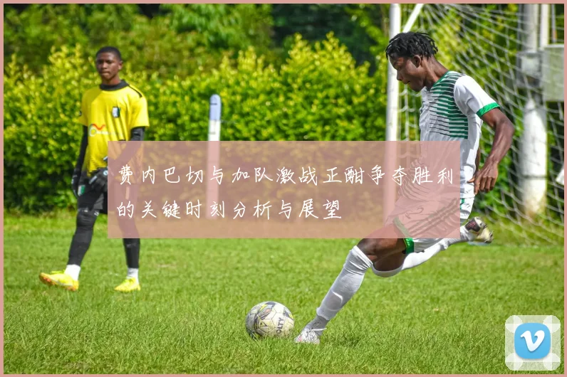费内巴切与加队激战正酣争夺胜利的关键时刻分析与展望